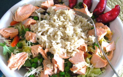 Salmon Rice Bowl: Friday, July 5, 2024