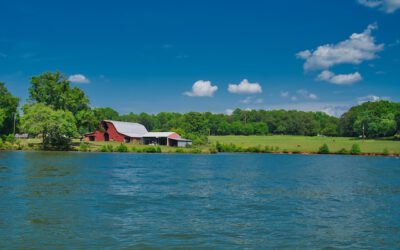 Summer Saturdays!  It’s June 20!  It’s the final week of June and we’re ambling into July.