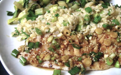 Grilled Rockfish and Poke Sauce with Lemon/Scallion Rice: Monday,November 17, 2025