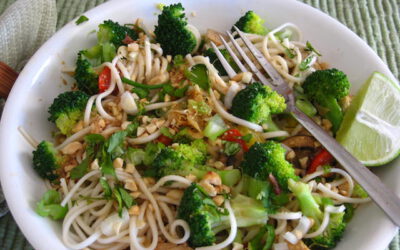 Japanese Noodles with Broccoli, Thursday, February 26, 2026