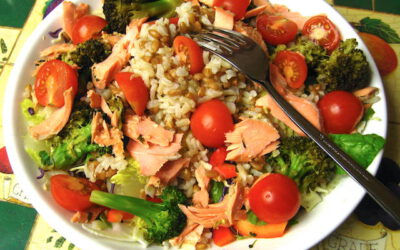 Salmon Rice Bowl: Friday, March 6, 2026